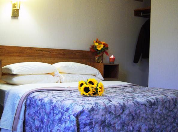 Tall Pines Motel Лейк Джордж Стая снимка