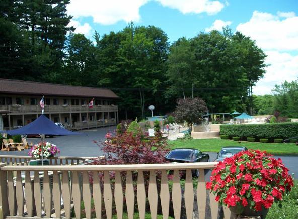 Tall Pines Motel Лейк Джордж Екстериор снимка