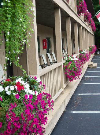 Tall Pines Motel Лейк Джордж Екстериор снимка