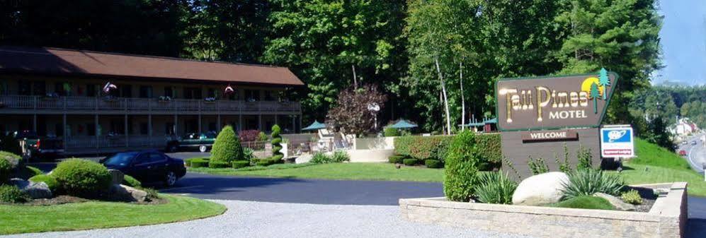 Tall Pines Motel Лейк Джордж Екстериор снимка